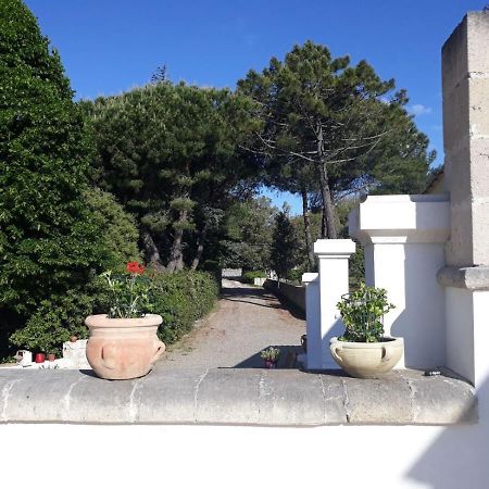 B&B Trulli E Mare Martina Franca Buitenkant foto